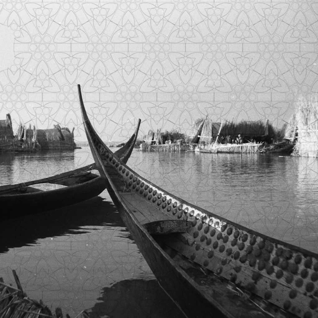 طرادة الشيوخ